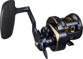 2025 Daiwa Saltiga 300